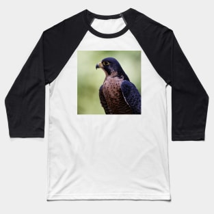 Peregrine Falcon Baseball T-Shirt